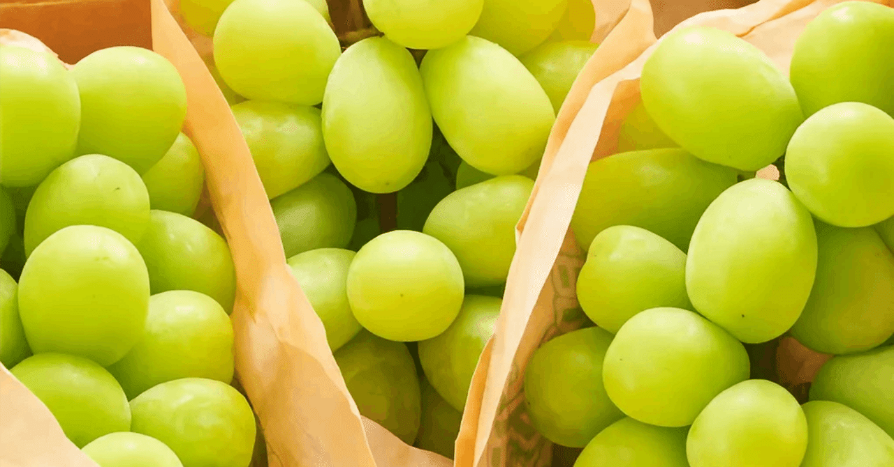 訳ありシャインマスカット】甘さ凝縮！ふるさと納税お取り寄せでお得に楽しむ方法｜たけし@Amazonタイムセール&楽天お買い物マラソン対象商品まとめ