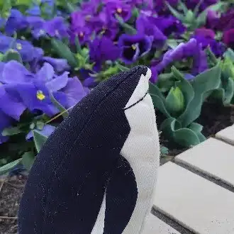 青竹