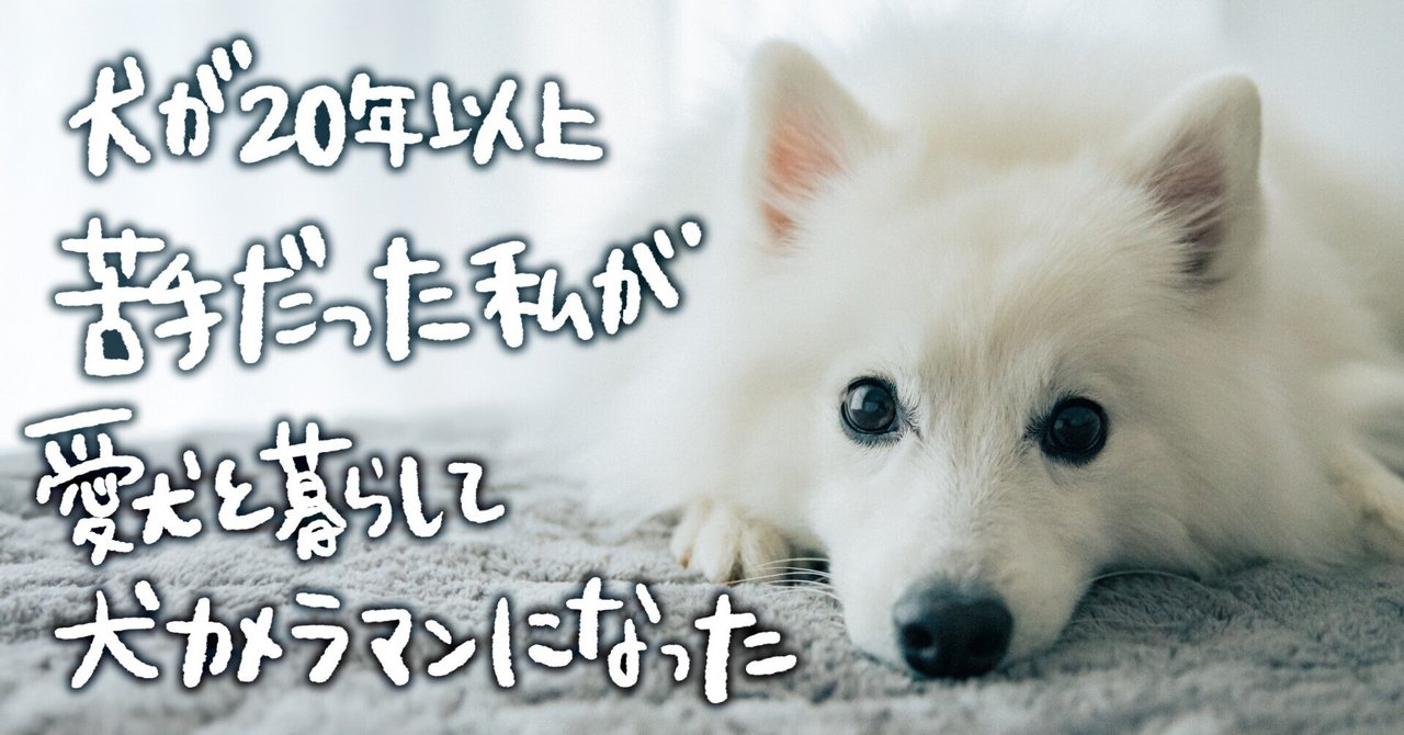 犬が20年以上苦手だった私が、愛犬と暮らして犬カメラマンになった note__eyecatch