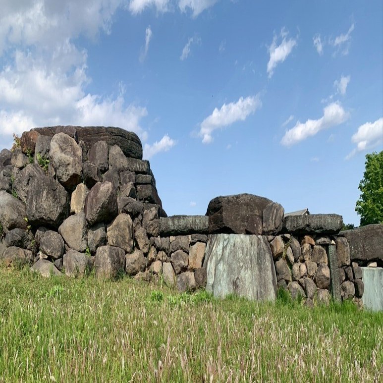 2025年5月5日【埼玉】 さきたま古墳群・八幡山古墳｜タンジマート