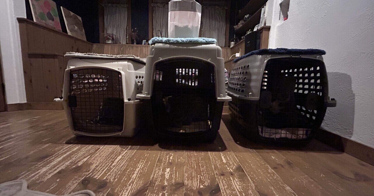 ペット用酸素発生器MAF mini 1.0 +ペットオキシホテルMサイズ セット