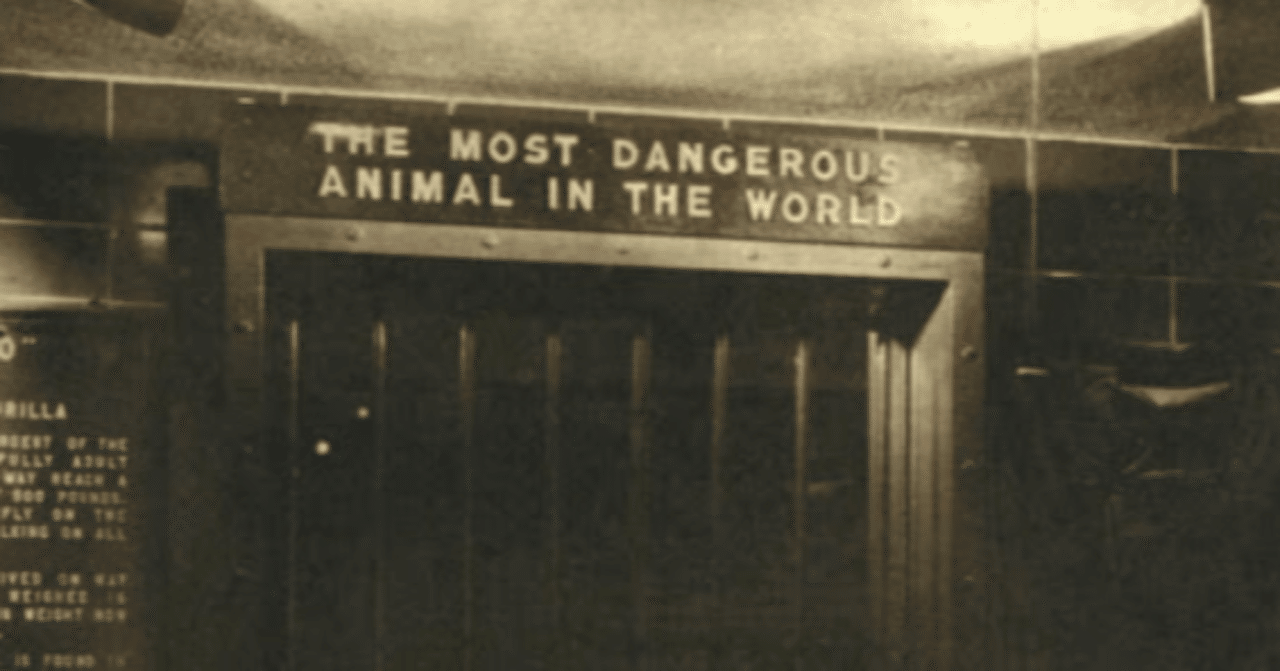 世界で最も危険な動物 Tank A Go Go Note