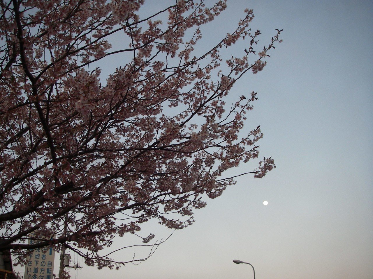 あんときのデジカメ 讃岐の春の夕景 with PENTAX Optio WPi あんときのデジカメ 讃岐の春の夕景 with PENTAX Optio WPi