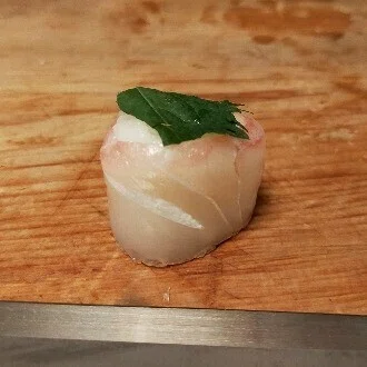 サカナ食うしょん