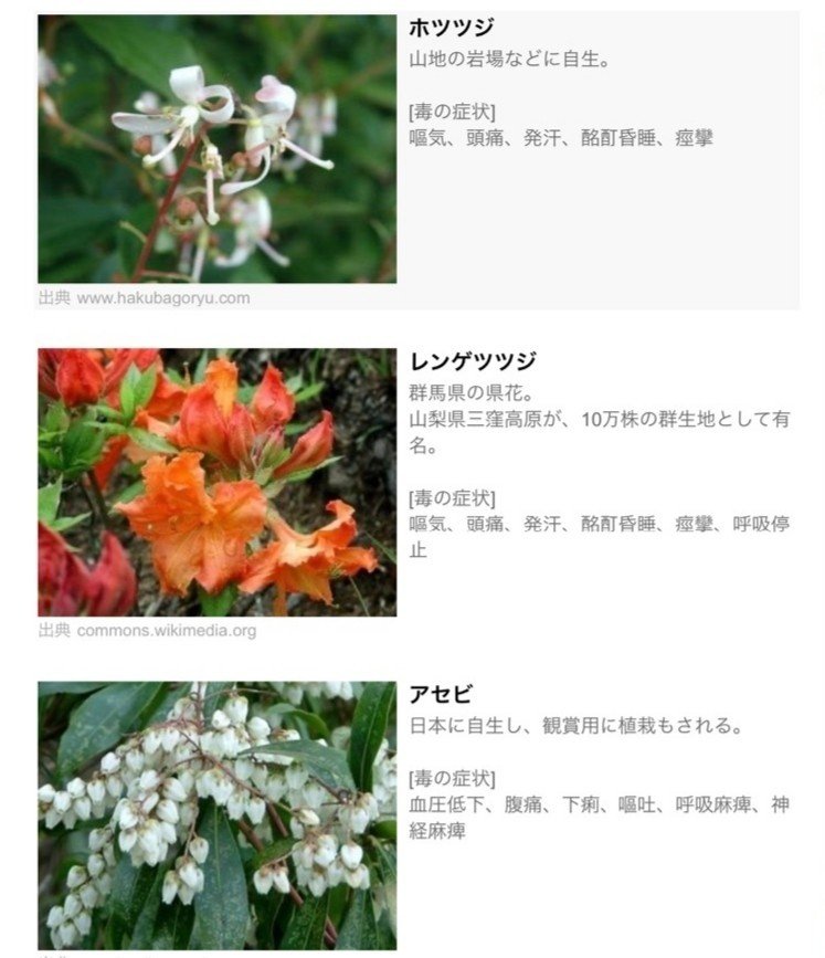子供の頃に吸った花の蜜の話 Corobuchica Note 子供の頃に吸った花の蜜の話 Corobuchica Note