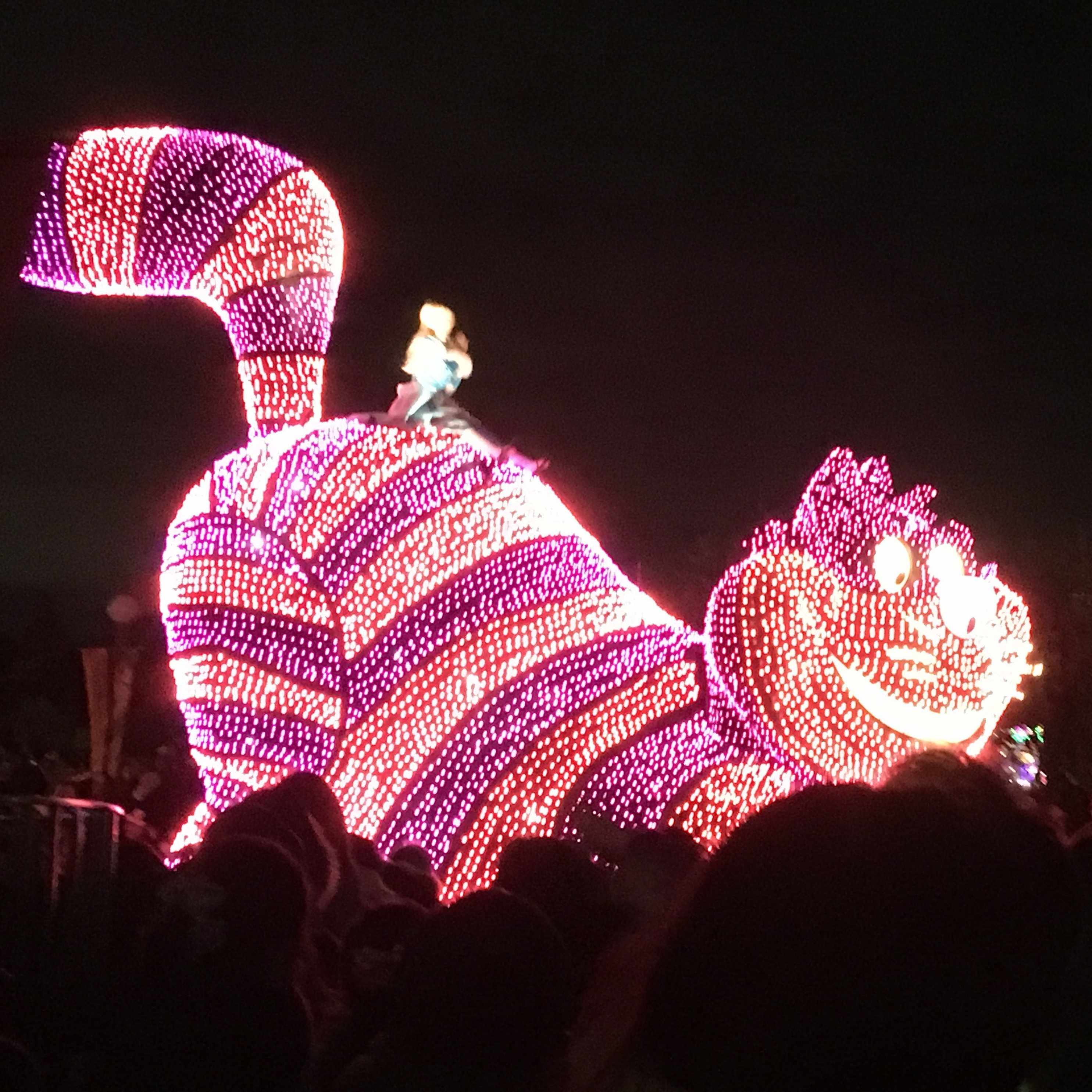 退院後 少ししてから背中の傷 手術の に痒みを感じた ほんのりしたもので 怪我の治りかけ と一緒かな と思っていた それからもときどき痒くなる 他の箇所は特にならないのに とはいえほぼ気にしてなかったが ちろり Note