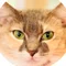 猫田とぅーれ