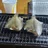 おしゃかな｜飯テロ｜料理｜釣り｜