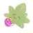 かぼち
