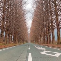 神様がくれた長いお休み ろなひ Note