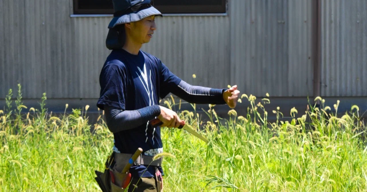 What Happens to the Soil When You Pull Weeds: The Mechanisms of ...