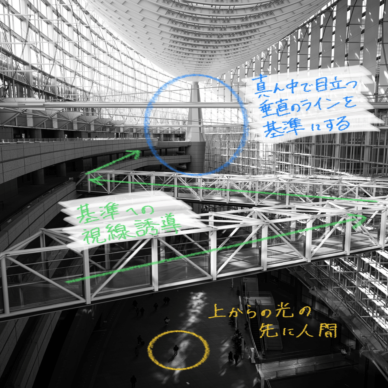 落ちた写真、通った写真。1xで気づいた撮影と表現の違い｜Yuta