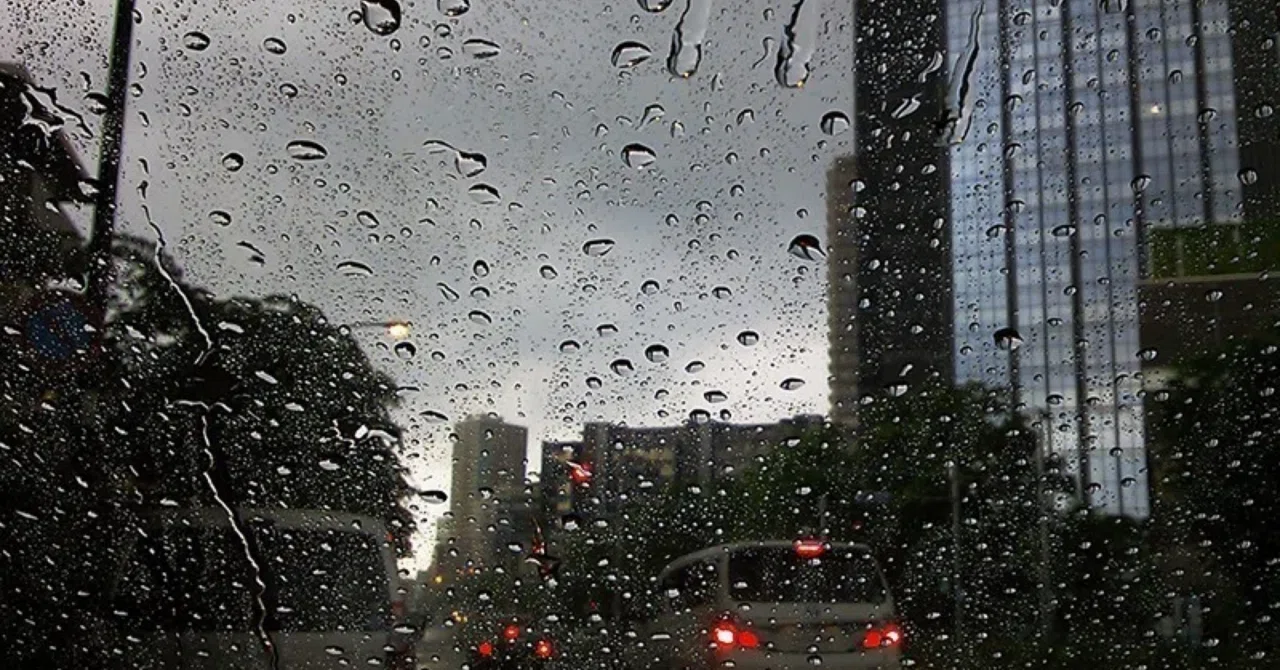 なぜ台風は逸れるの?|くまひめ