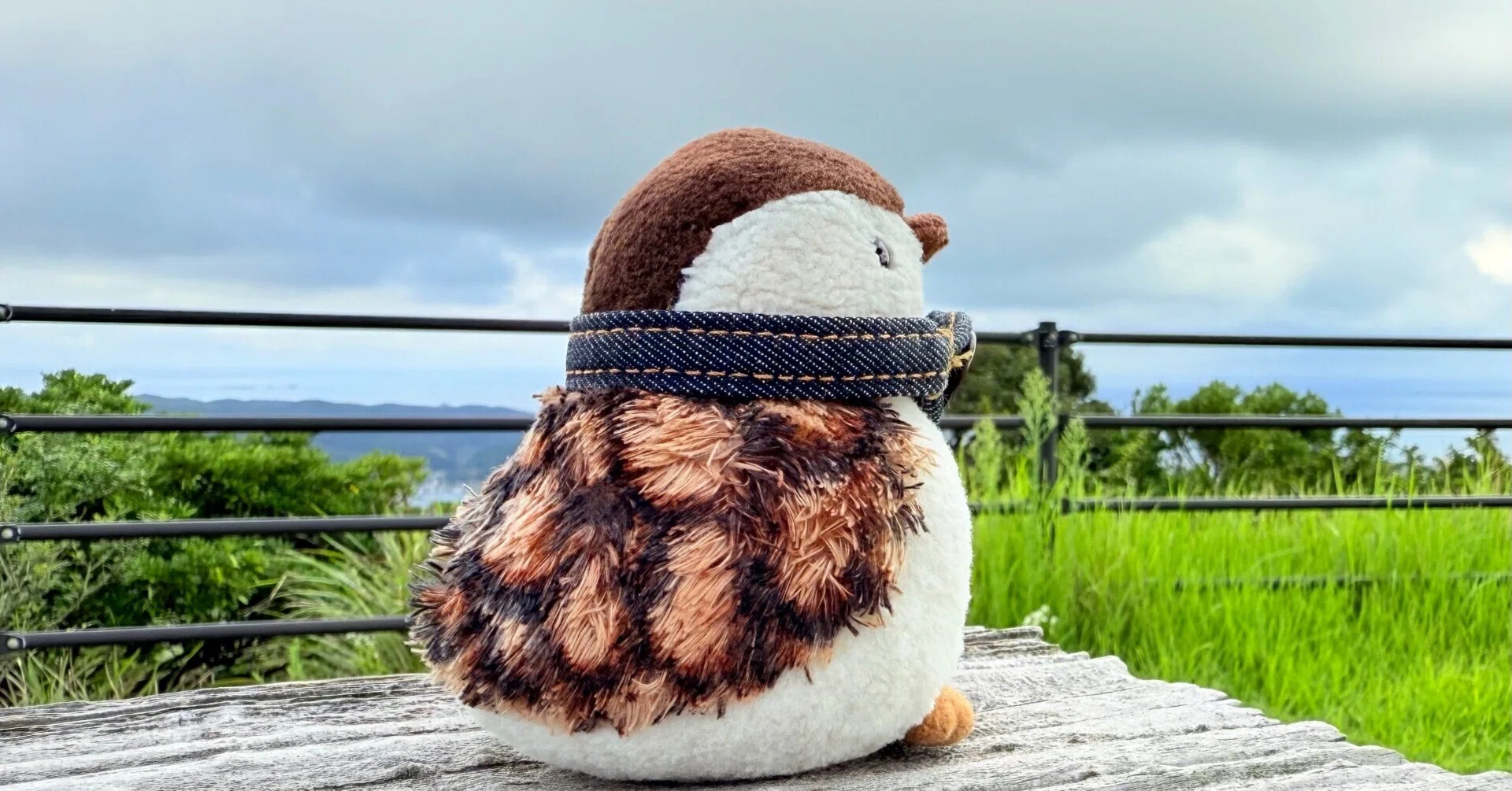 ぬい撮り】雷鳥ラックの冒険 ～対馬編｜Yukihiro🧸