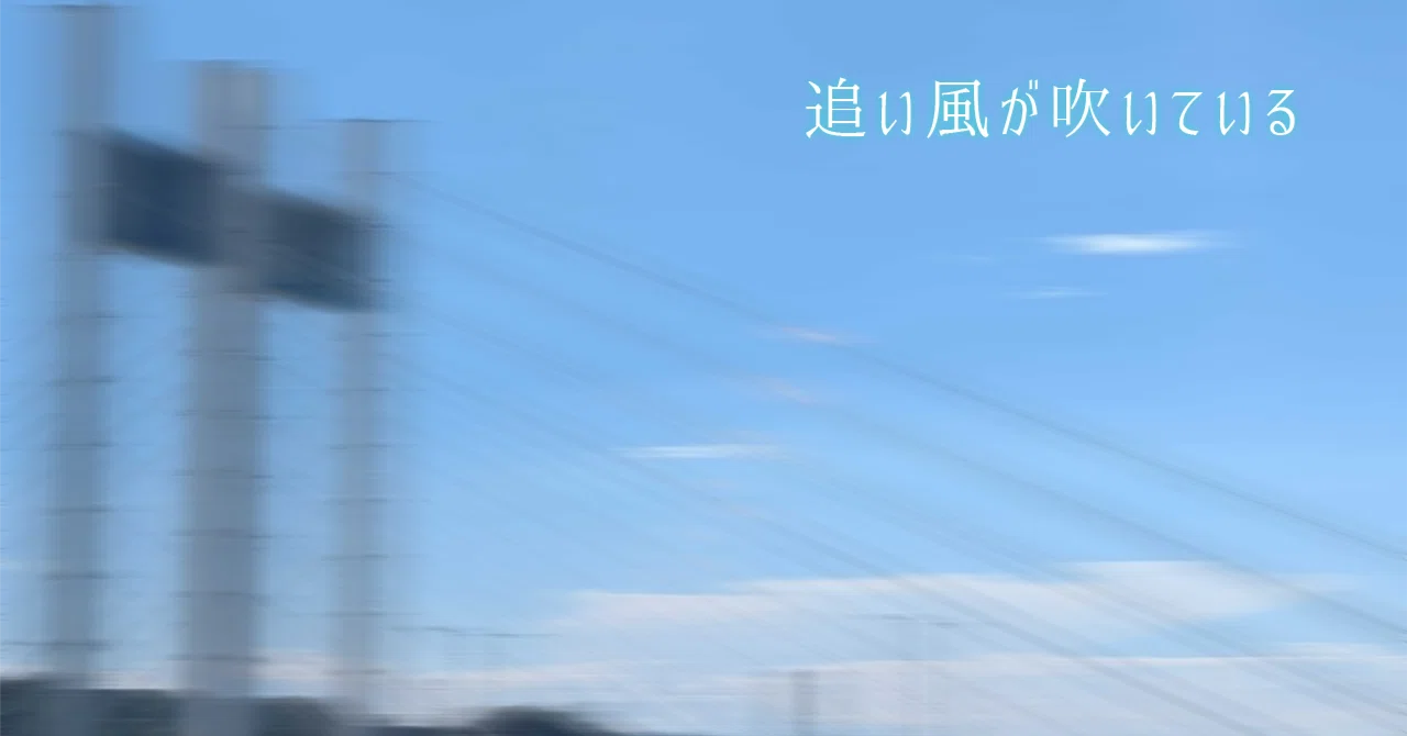 追い風が吹くことがある｜Bigいぬねこ｜残業しないマネジメントを実践する自由人