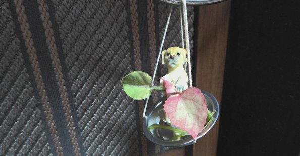 確認画面　ここで頂いた籠に　庭のカサブランカを。。。至福の時です！ 木山裕策 | 先日のカサブランカの投稿をYahoo!ニュースに
