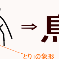 第644回 カラフルな野鳥 翆野 大地 Note 第644回 カラフルな野鳥 翆野 大地 Note