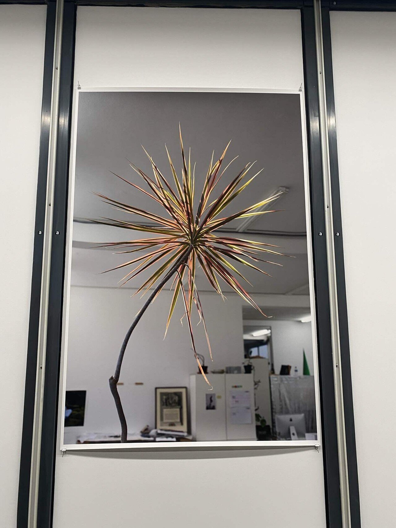 ヴォルフガング・ティルマンス展回想｜高見温| On Takami