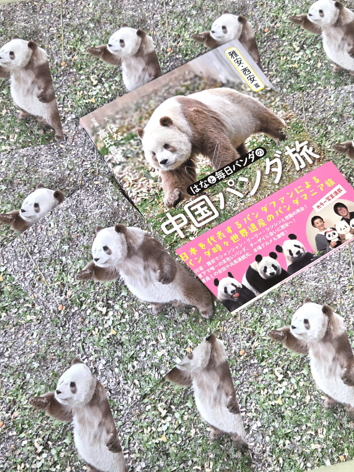 ウエノデパンダ 中秋節 シャンシャン キーホルダー ポストカード