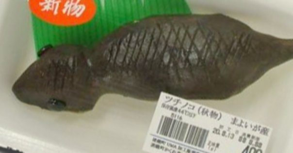 獲物の血液を吸い尽くす！ 吸血怪獣チュパカブラの基礎知識