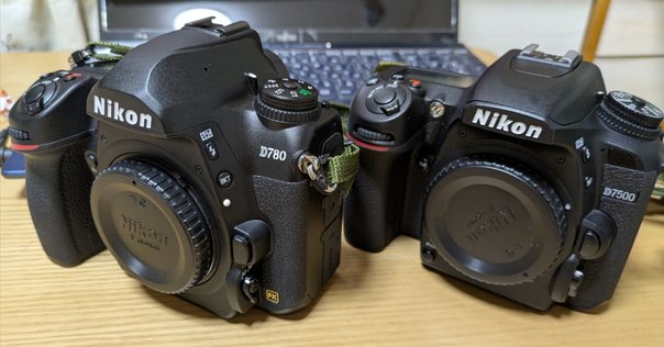 レフ機の魅力【Nikon D800、作例】｜谷 龍介