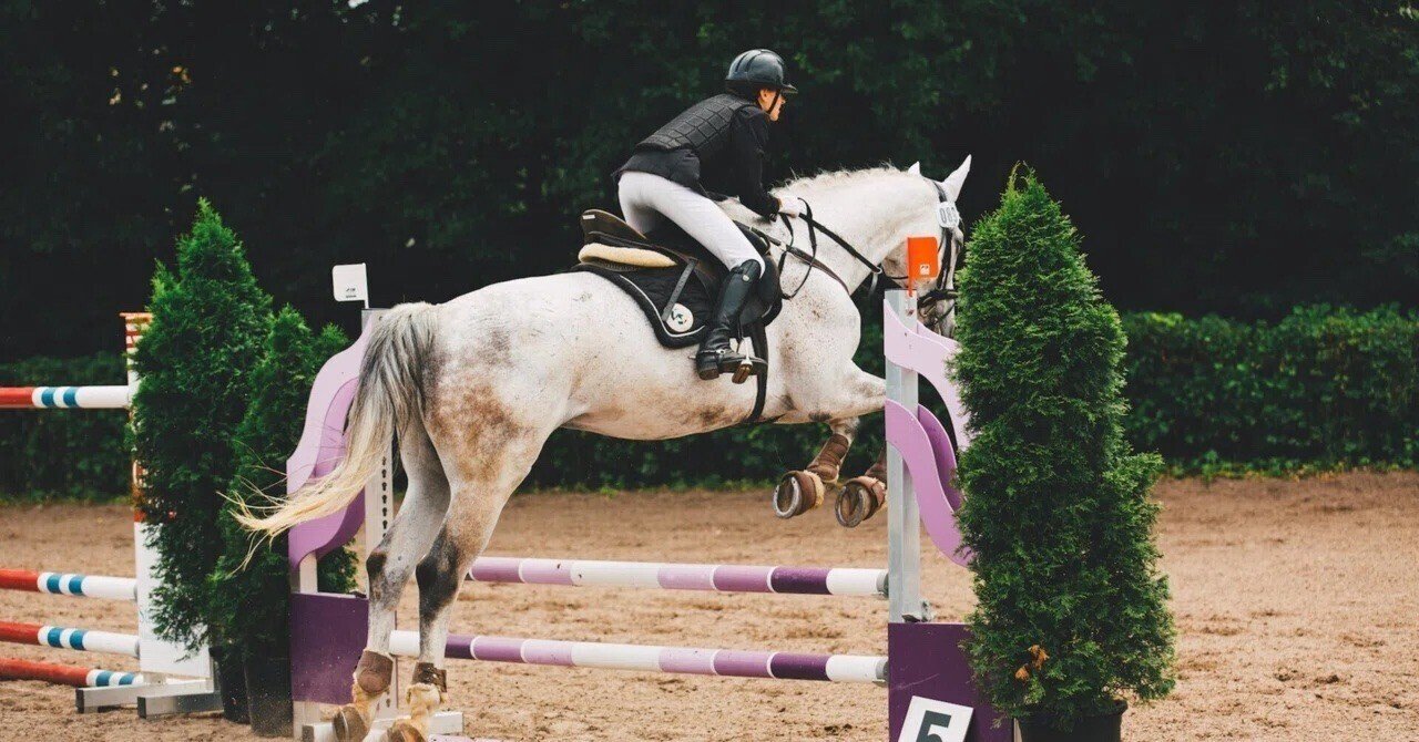 Hit-air / ヒットエアー】おすすめ乗馬用エアバッグのご紹介と使用感