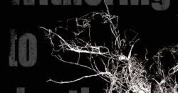 邦楽 DIR EN GREY / VESTIGE OF SCRATCHES VESTIGE OF SCRATCHES - DIR EN GREYのアルバム - Apple Music