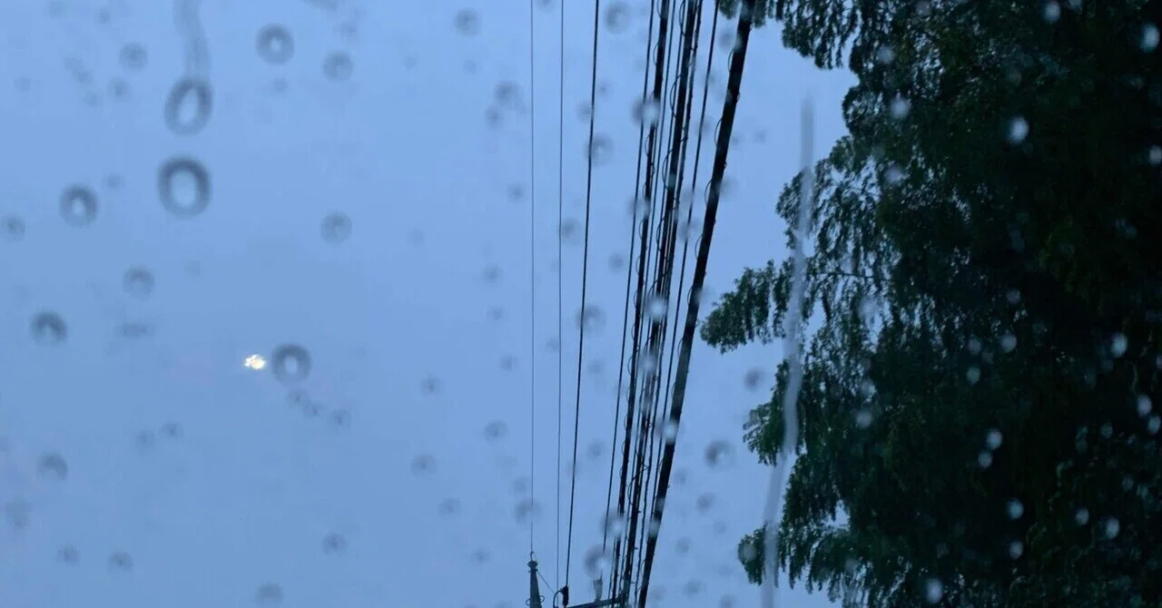 雨が降る|のり