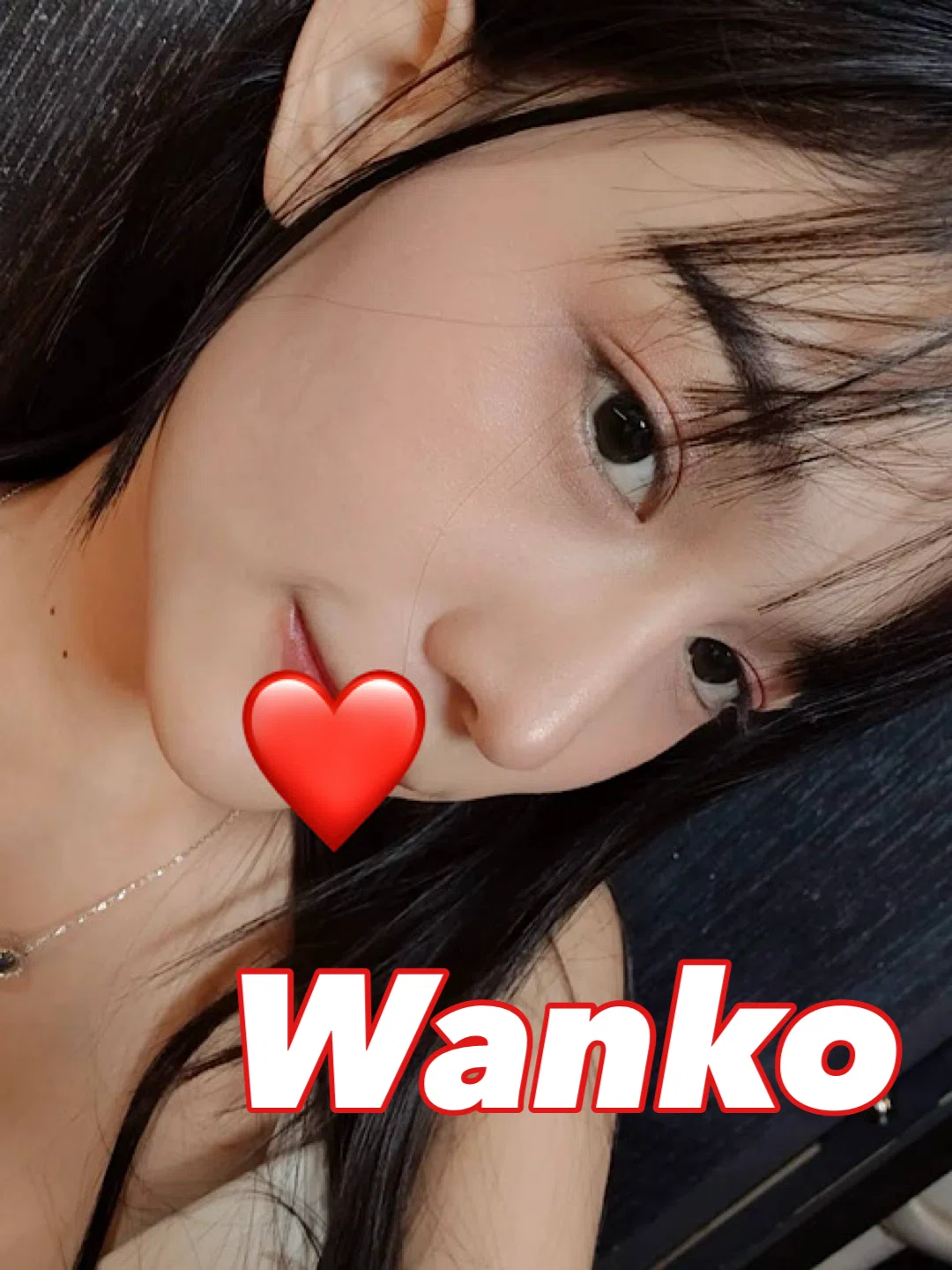 Wanko レビュー｜てんちょ note