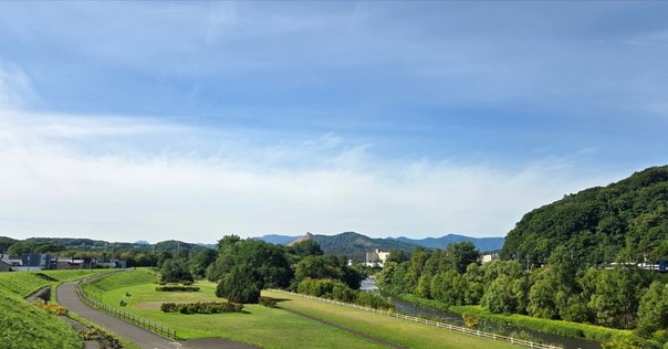 2022デイリートレーナー、あなたはどれを選ぶ？」アシックス