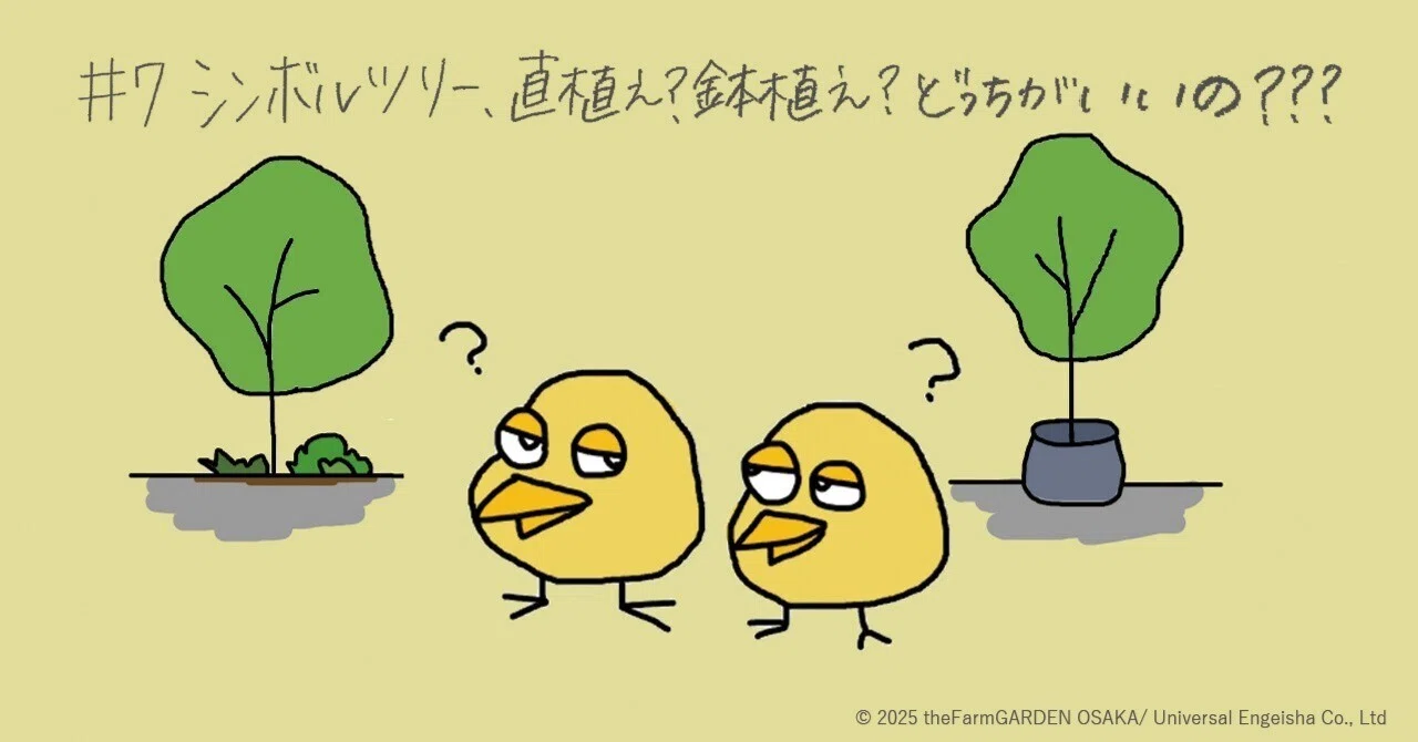 7 シンボルツリー、地植えと鉢植えどっちがいいの？｜theFarmGARDEN大阪