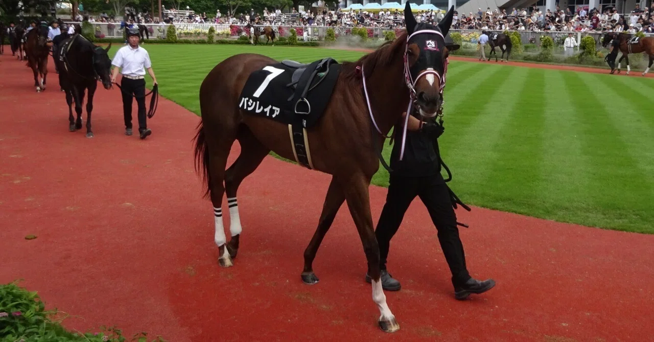 2025新潟遠征 競馬編 想定を外れる｜サイレンスキャット