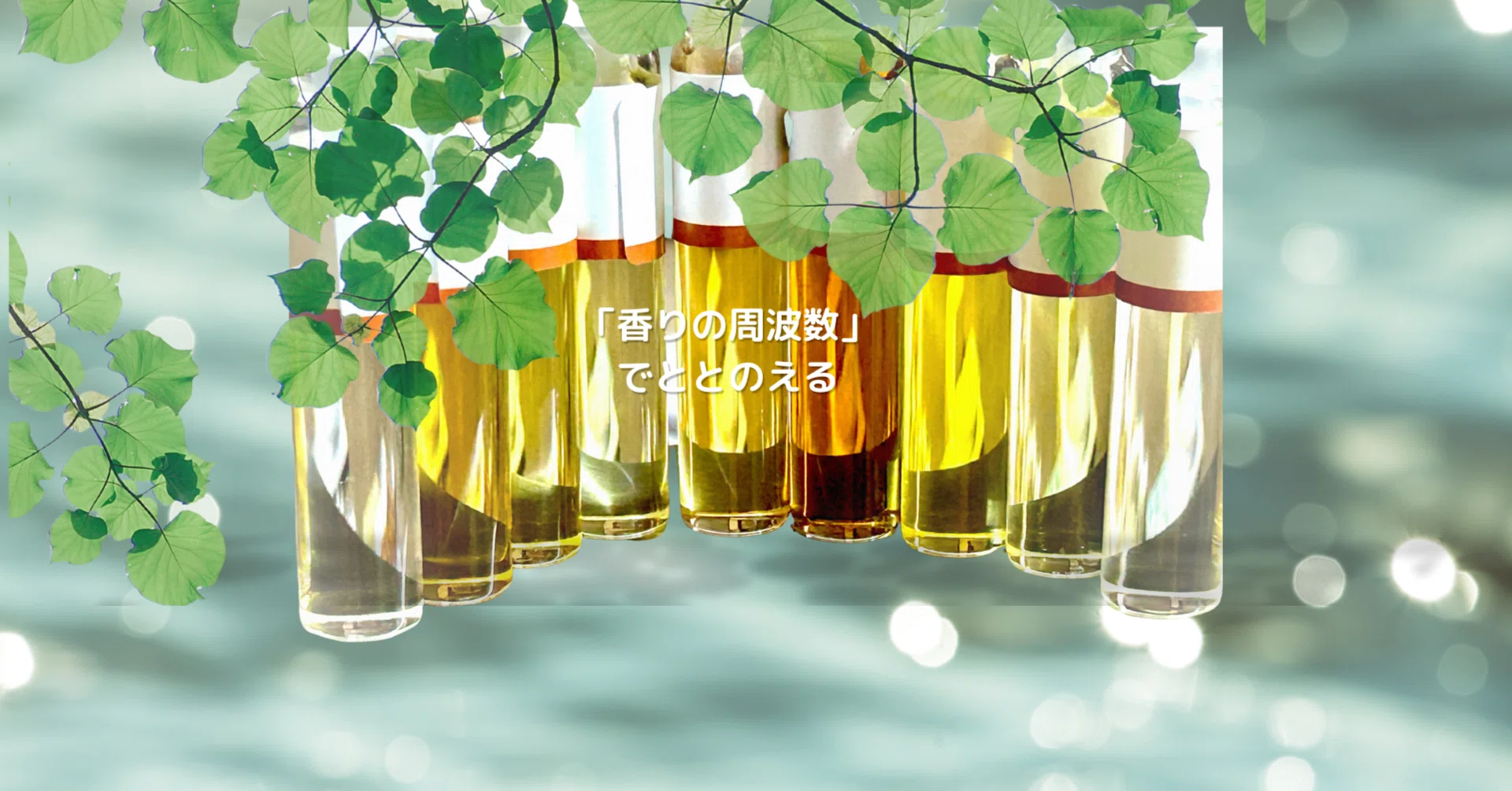 FUUKAのアロマ｜note