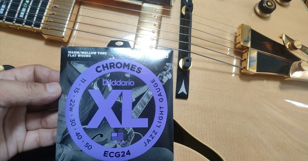 ARCHTOP TRIBUTE AT102M  【訳あり】 フルアコ 機材紹介：Archtop Tribute AT102｜Hikosans