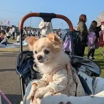 働きたくないエンジニア