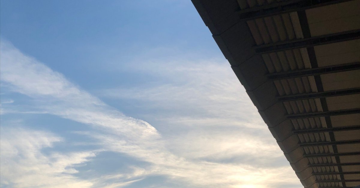 エアメサイア 秋華賞AVANTI ぬいぐるみ 競馬 Sサイズ ウマ娘【秋華賞ウマ