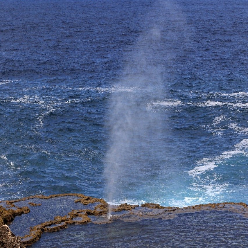 トンガ王国 ホウマの潮吹き穴 Zenpaku Note
