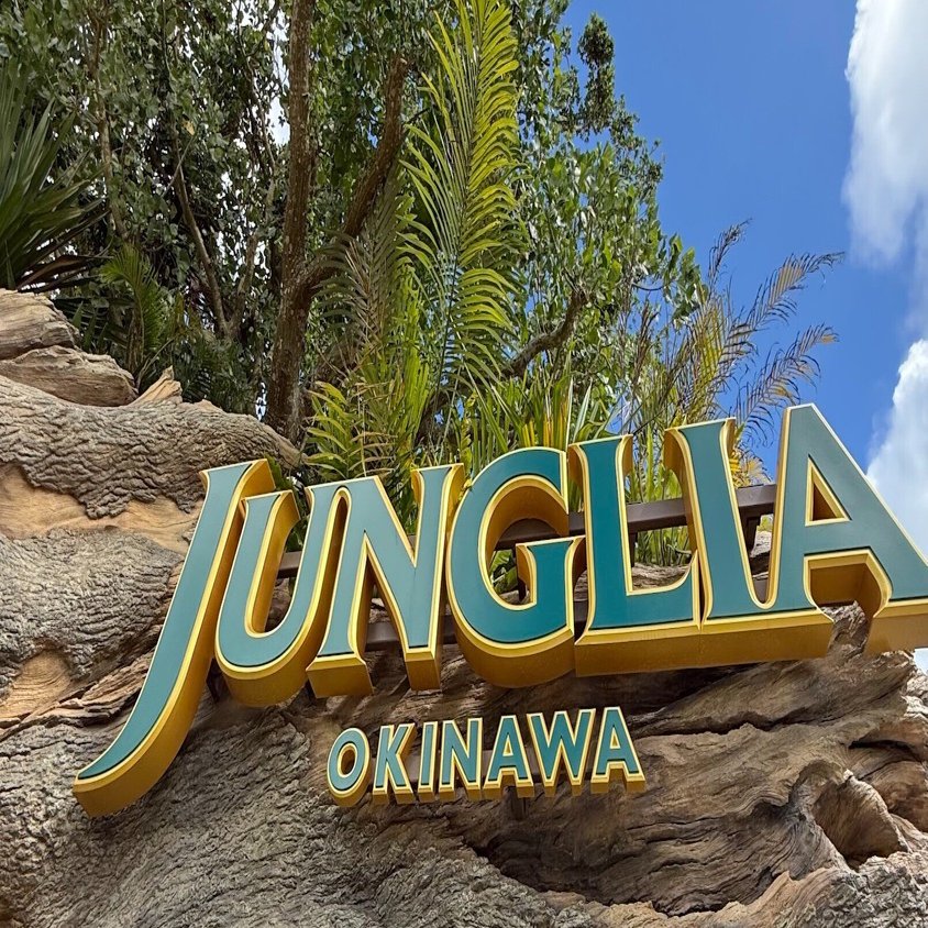 ガラケー　22個まとめ売り　ジャンク　バラ売り不可 色々言われている。ジャングリラに行ってきた。・・・の感想｜金井啓修