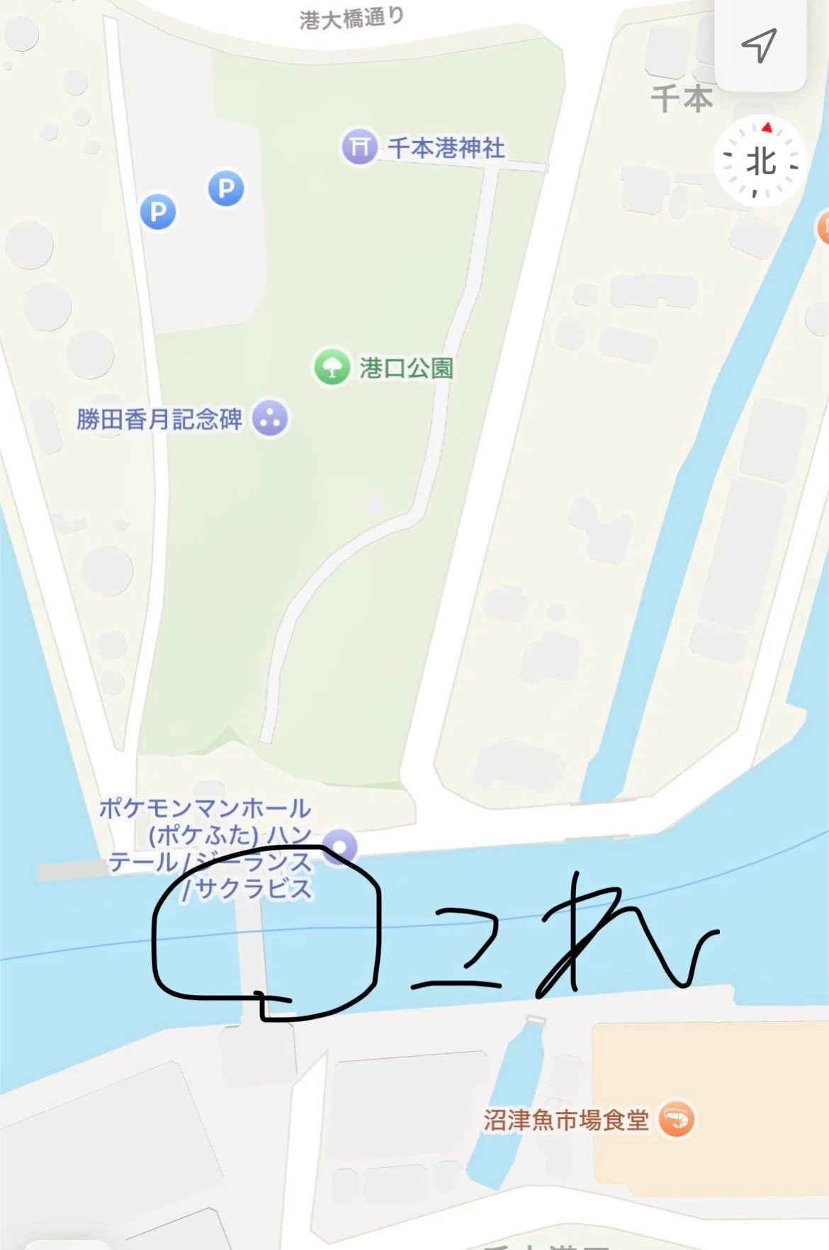 公共交通機関で行くポケふた巡り〜静岡編〜|ゴシャハギ亜種 公共交通機関で行くポケふた巡り〜静岡編〜|ゴシャハギ亜種