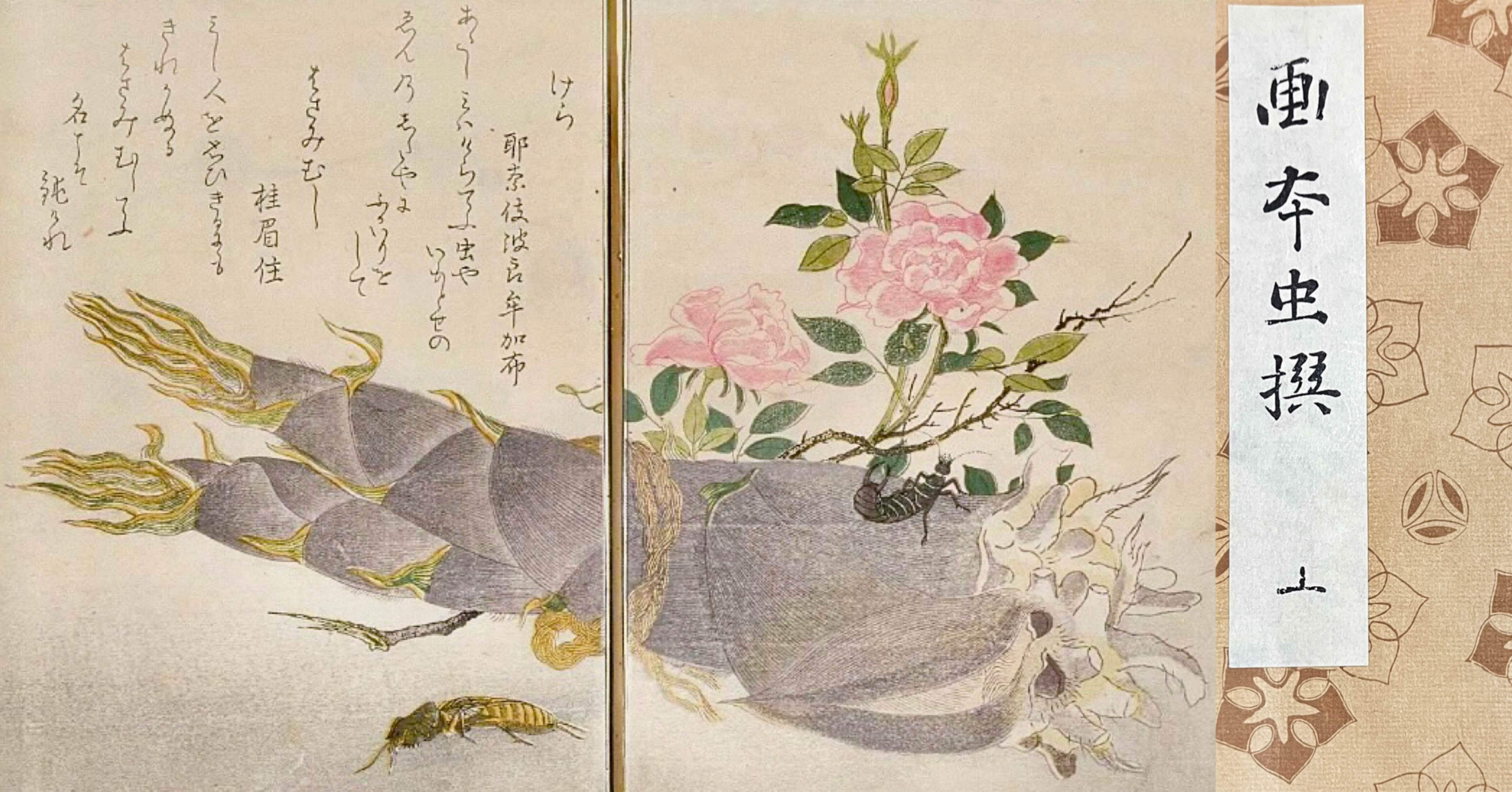 江戸狂歌ばなし──天明狂歌のざわめき ｜ 喜多川歌麿 【 画本虫撰