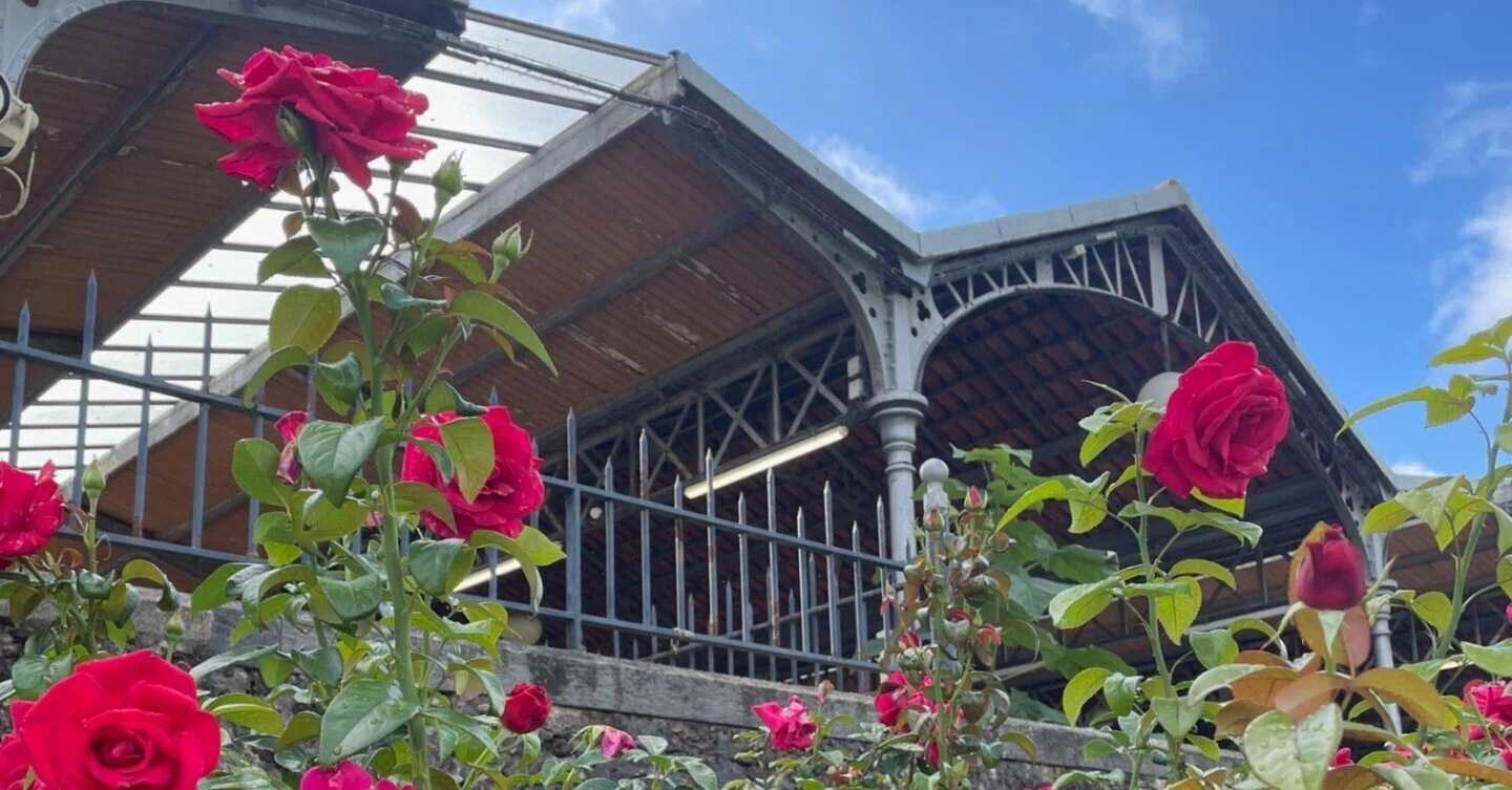 古本市と薔薇、ジョルジュ・ブラッサンス公園へ｜アンヴァンテール｜私 
