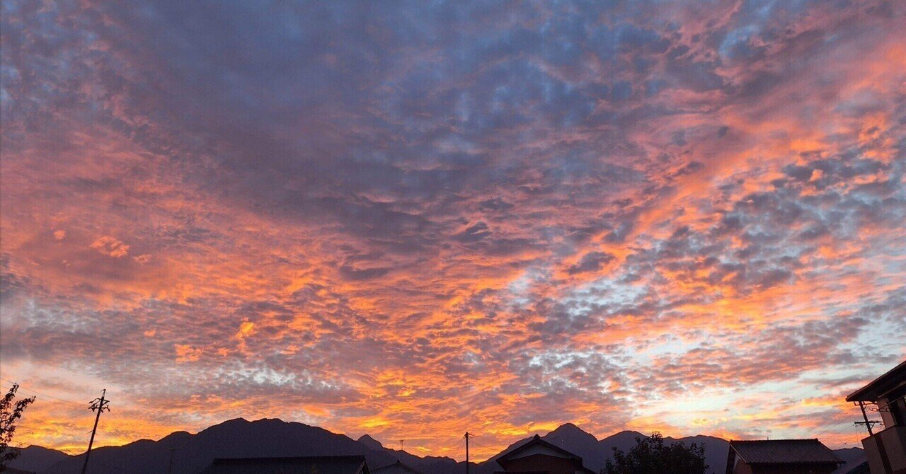 僕の好きな詩について 第三十二回 帷子 耀｜ハル（黒崎晴臣