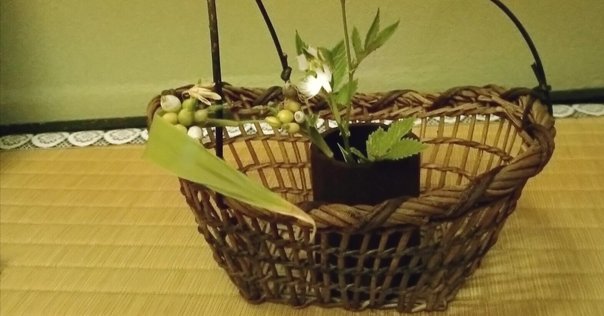 志野流松隠主 桑四方盆 香道具 志野流松隠主 桑四方盆 香道具