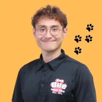 犬山和也〜毒（添加物）も喰らえる体のつくり方