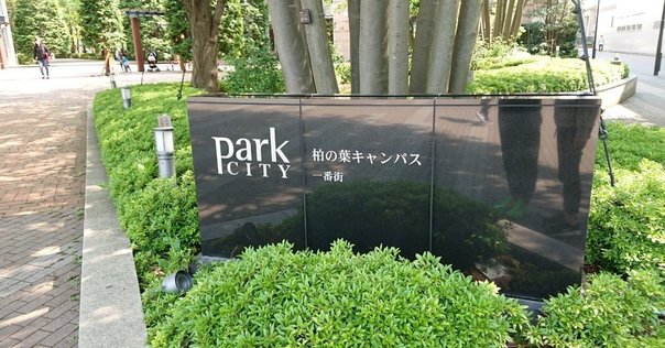 2024年度入試 東大SPH合格体験記｜たなお