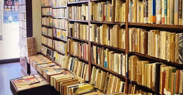 追悼 ・ 酒見賢一｜年間読書人