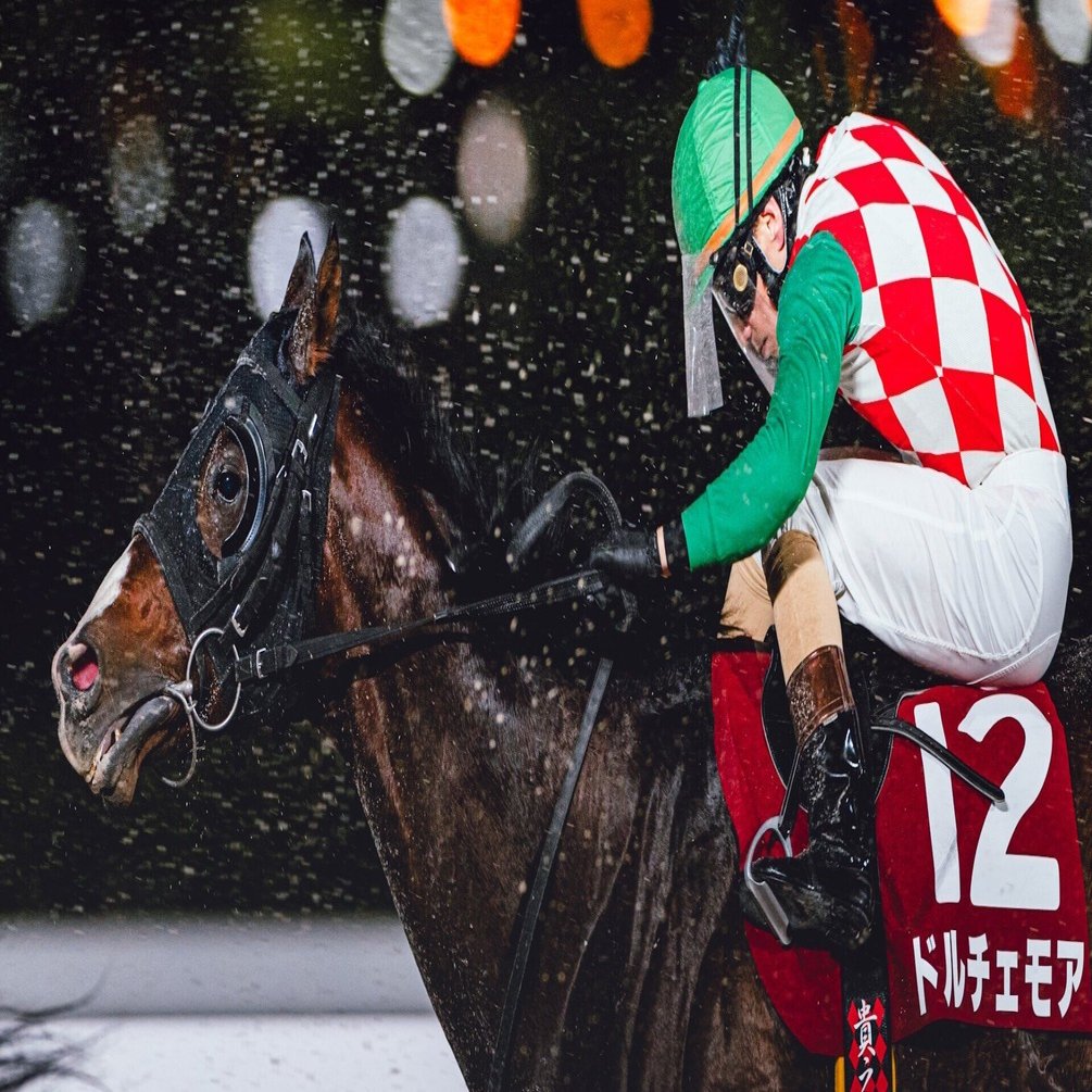 9月5日（金曜）大井競馬勝負レース