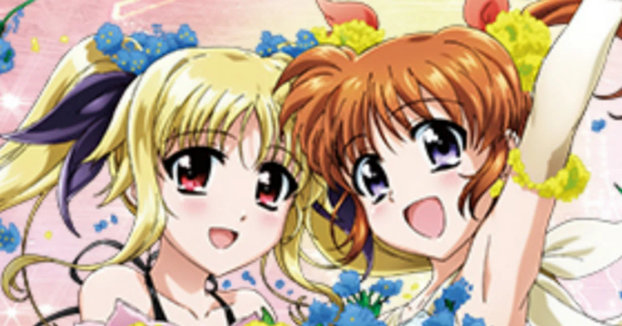 ヴァイス 魔法少女 リリカルなのは 20th SEC 夜天の書と共に はやて 夜