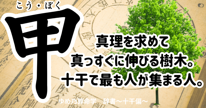 【￥11,000引】ゆめ乃算命学　本気のフルハウス　算命学　独学 71ED6y79cDL._AC_UL210_SR210,