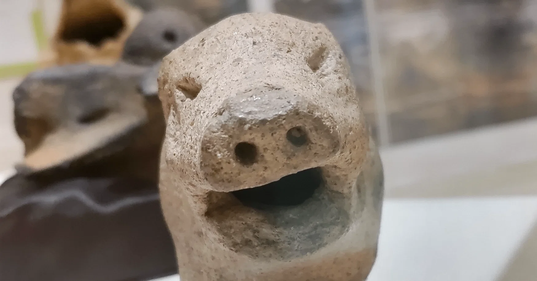 縄文人の胃袋を掴んだ！？幸せを運ぶイノシシたち｜のんてり